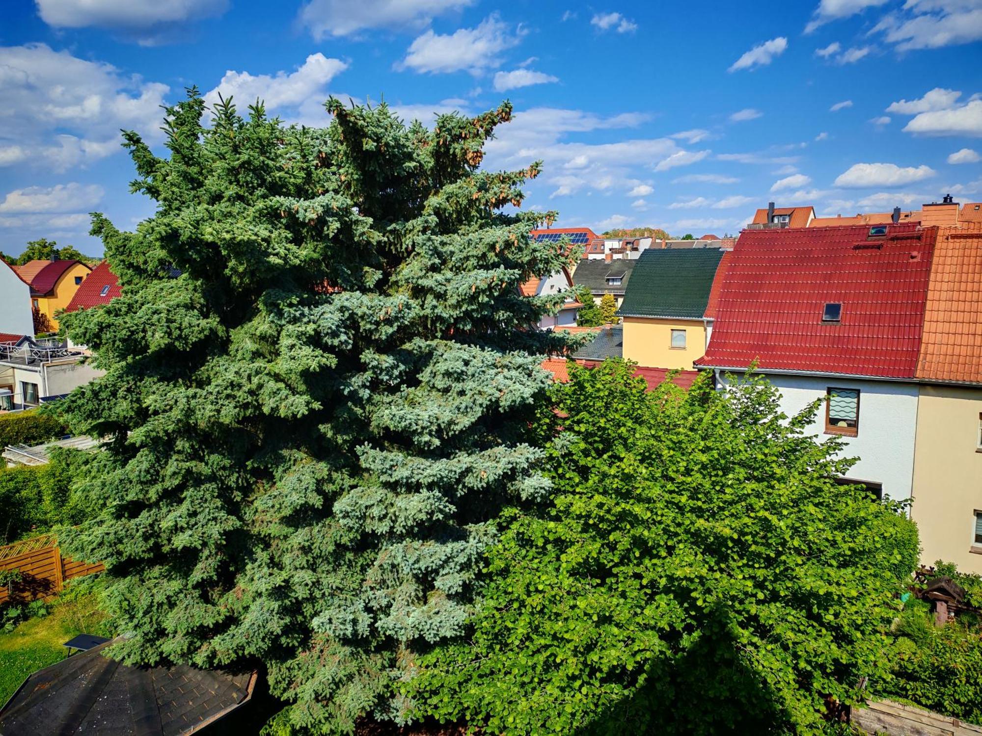 Domstadt Apartments Merseburg Esterno foto